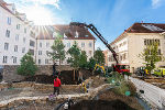 Bildbeschreibung: Personen bei Landschaftsbauarbeiten in der Stadt mit Baumaschinen, Steinmauern und jungen Bäumen.
